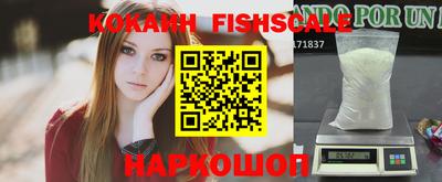 jwh Бийск