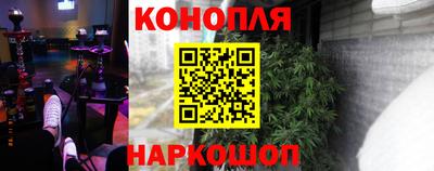 jwh Бийск
