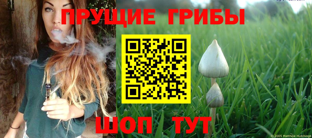 Галлюциногенные грибы прущие грибы Асбест